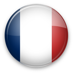Translate into French with Google